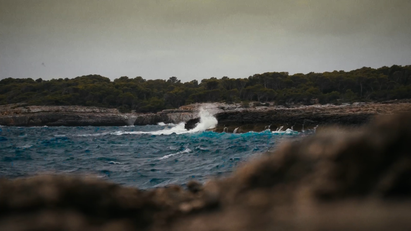 Mar de Pins – Standbild 4 in Mallorca